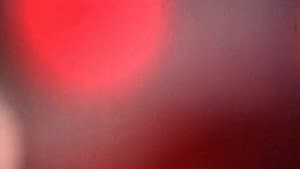 Couleurs mécaniques — foto 2