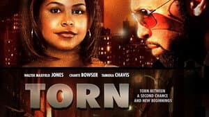 Torn — foto 1