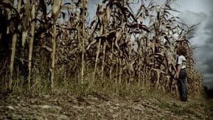 Campos de sangre — foto 2
