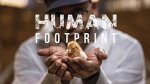 Human Footprint — foto 6