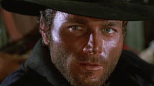 Django — foto 12