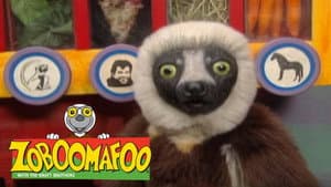 Zooboomafoo — foto 1