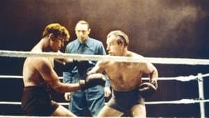 The Contender — foto 1