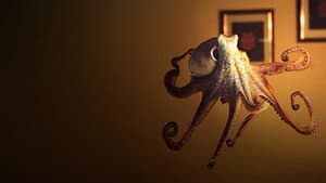 The Octopus in My House — foto 1