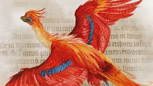 Harry Potter - A History Of Magic — foto 5