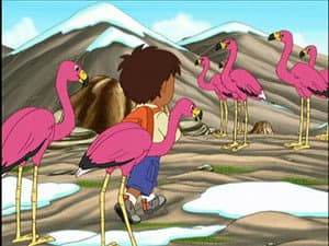 Episodio 17