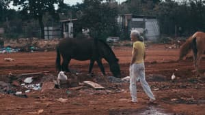 Maluco Voador: Além do Som — foto 1
