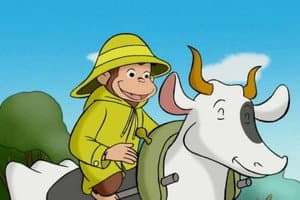 Episodio 29