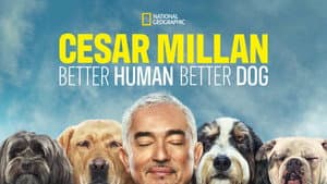 Cesar Millan: Better Human, Better Dog — foto 12
