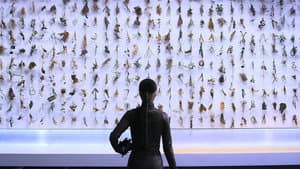 세상의 저편 — foto 1