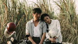 寻她 — foto 2