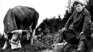 La Vache et le Prisonnier — foto 5