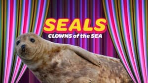 Seals - Clowns of the Sea — foto 1