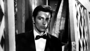 Alain Delon, la solitude d'un fauve — foto 1