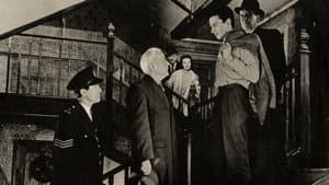 Innocent Meeting — foto 1