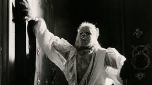 La Maldición del Hombre Lobo — foto 2
