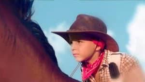 Cowboys — foto 1