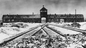 Ireland's Nazis — foto 1