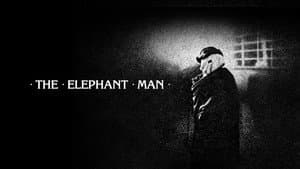El Hombre Elefante — foto 2