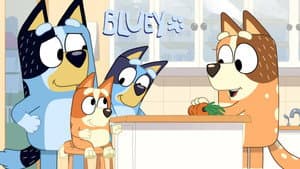Bluey — foto 9
