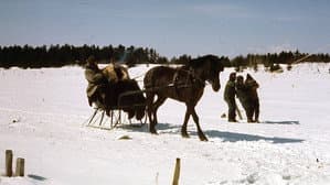 Kamouraska — foto 1