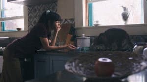 Chaperone — foto 1