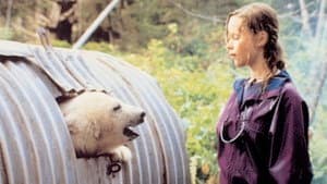 Alaska — foto 6