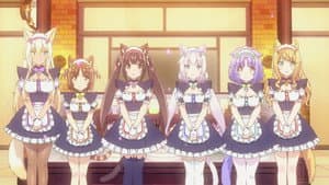 Nekopara — foto 3