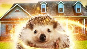 Andy the Talking Hedgehog — foto 2