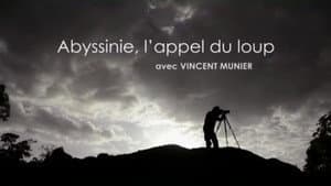 Abyssinie, L'appel Du Loup — foto 1