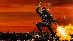 La venganza del Ninja — foto 2