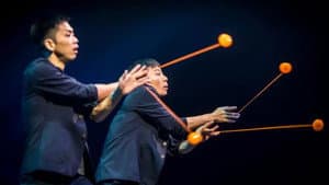 Le Cirque Phénix - 25 ans — foto 7