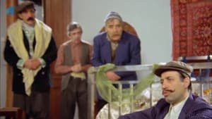 Sosyete Şaban — foto 11