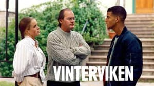 Vinterviken — foto 4