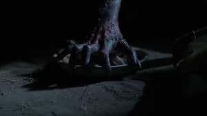 8 — foto 4
