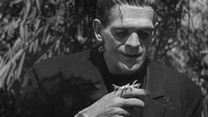 Frankenstein — foto 12