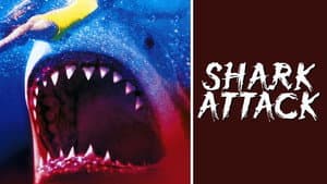 Shark Attack — foto 6