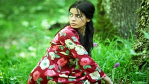 Firak — foto 2