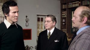 L'uomo della strada fa giustizia — foto 2