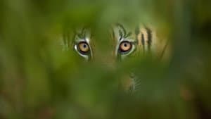 Deadly Instincts — foto 4