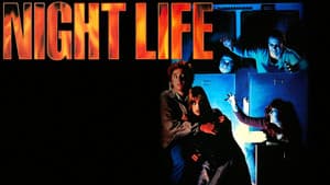 Night Life — foto 3