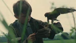 Kes — foto 1
