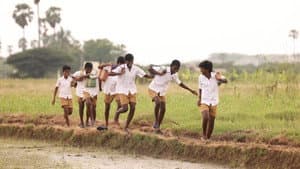 வாழை — foto 7