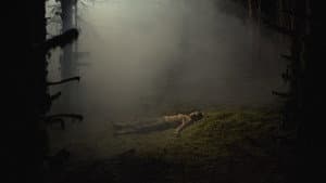 Sometimes I Think About Dying — foto 3