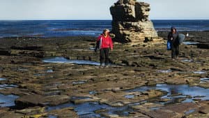 La Ola sin Fronteras: Una expedición al Atlántico Sur — foto 4