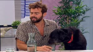 Episodio 5