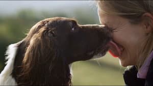 The Secret Life of Dogs — foto 2