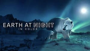 Planeta nocturno: A todo color — foto 11