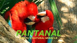 Naturwunder Pantanal - Brasiliens geheimnisvolle Wildnis — foto 1
