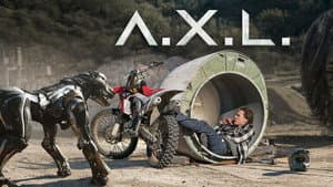 A-X-L — foto 11